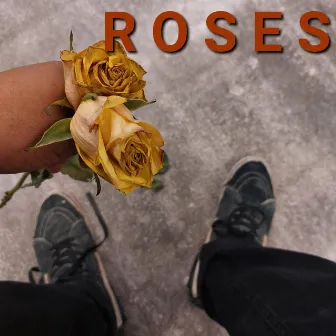 Roses by Drake Peezee