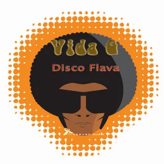 Disco Flava by Vida G