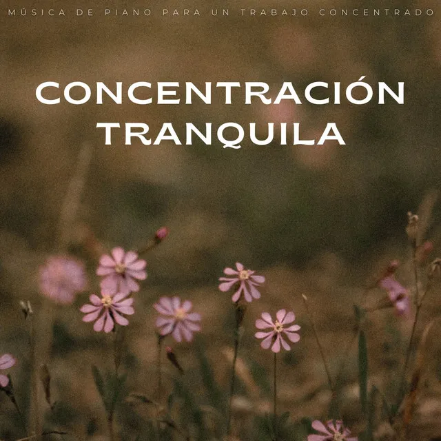 Concentración Tranquila: Música De Piano Para Un Trabajo Concentrado