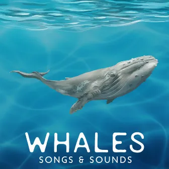 Whales Songs & Sounds – Deep Underwater Ambience, Ocean Relaxation Music by Ocean Waves Symphony