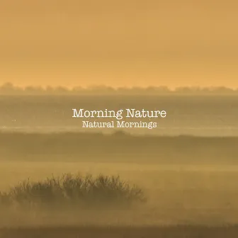 Natural Mornings by Morning Nature