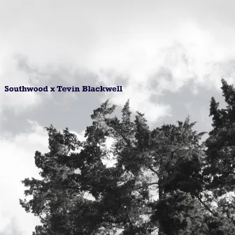 Southwood by Tevin Blackwell