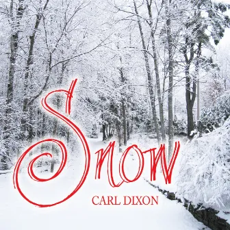 Snow by Carl Dixon