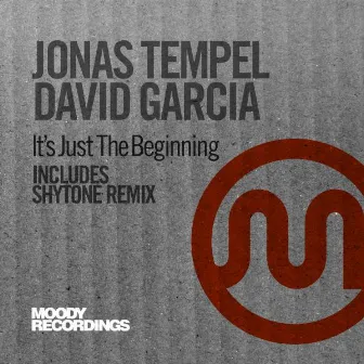 It's Just The Beginning by Jonas Tempel