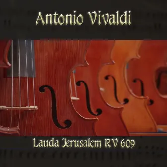 Antonio Vivaldi: Lauda Jerusalem RV 609 by Michael Saxson