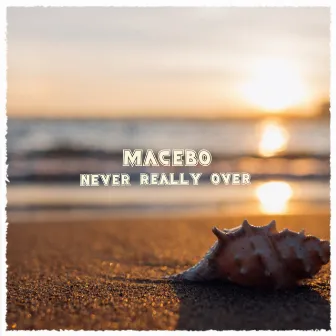 Never Really Over by Macebo