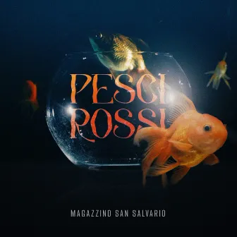 Pesci Rossi by Magazzino San Salvario