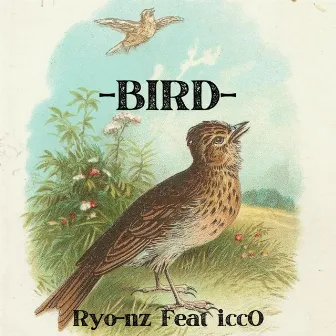 BIRD by Ryo-nz