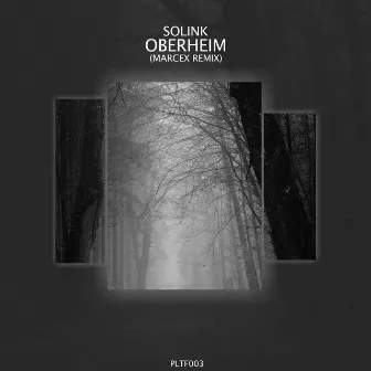 Oberheim (Marcex Remix) by Solink