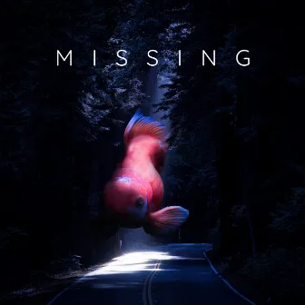 Missing by Helen Taylor