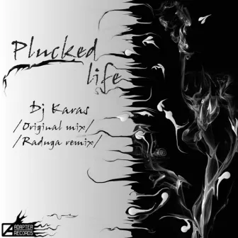 Plucked Life by DJ Karas