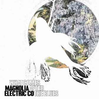 What Comes After The Blues by Magnolia Electric Co.