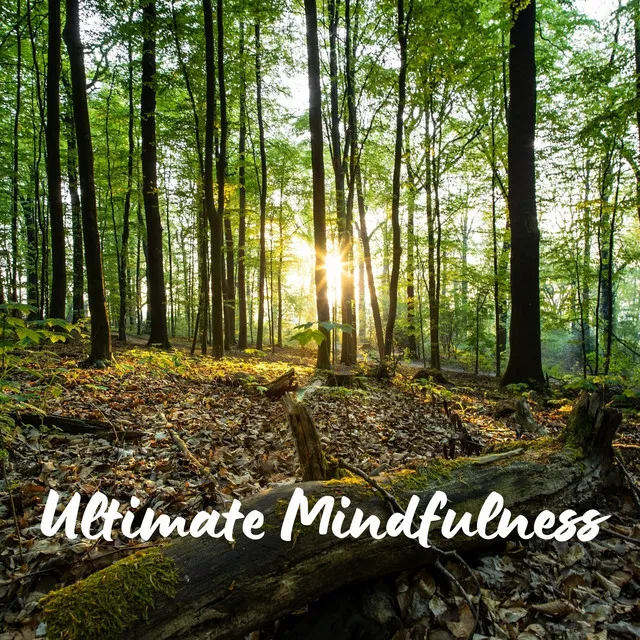 Ultimate Mindfulness: Serene Melodies for Deep Meditation and Tranquil Sleep