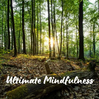 Ultimate Mindfulness: Serene Melodies for Deep Meditation and Tranquil Sleep by Unknown Artist