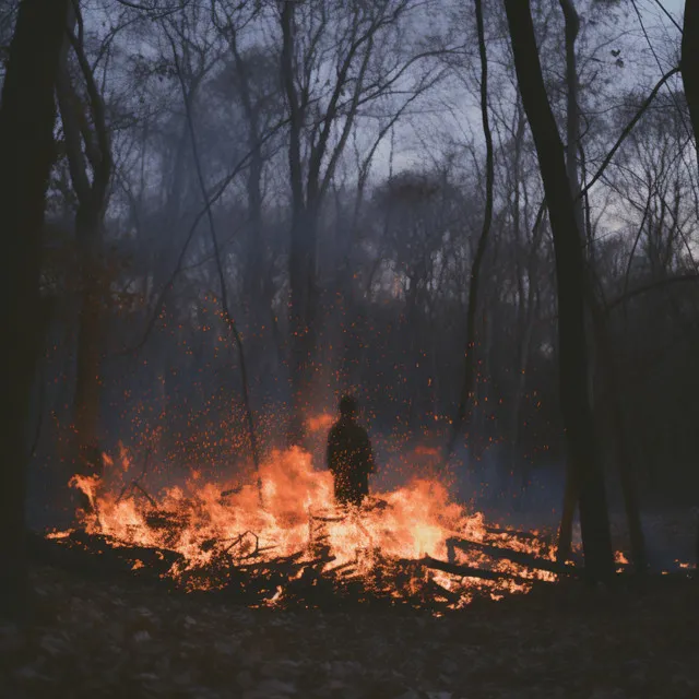 Armonía Del Fuego En Sueños