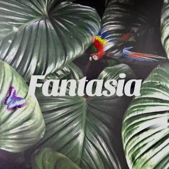 Fantasia by ADY