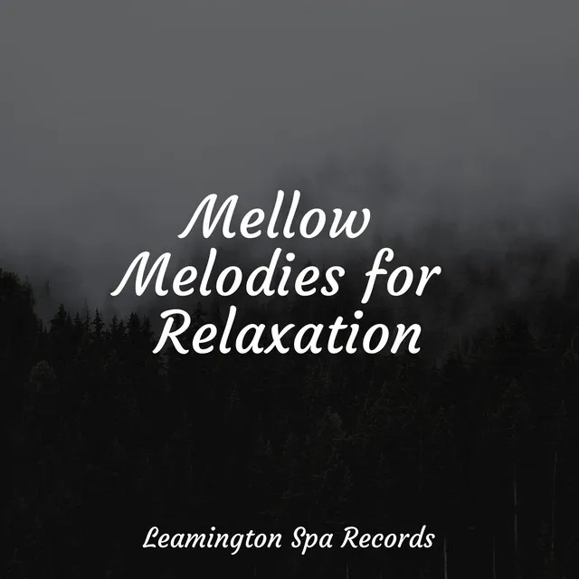 Music for Meditation and Relaxation