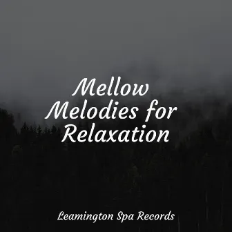 Mellow Melodies for Relaxation by Relaxing Mindfulness Meditation Relaxation Maestro