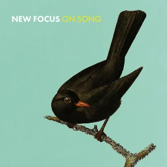 New Focus on Song by Euan Stevenson