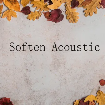 Soften Acoustic by Willie