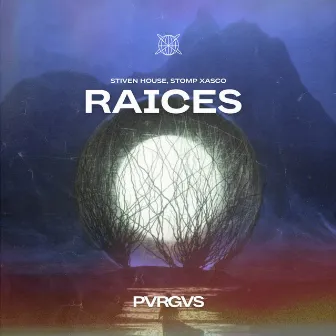 Raices by Stiven House