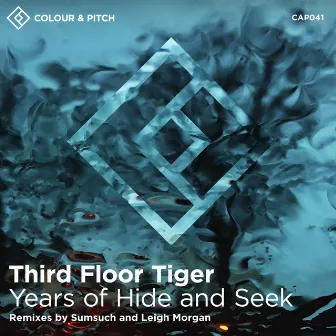 Years of Hide and Seek by Third Floor Tiger