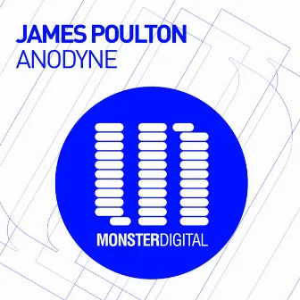 Anodyne by James Poulton