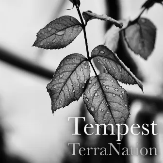 Tempest by TerraNation