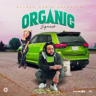 Organic by Sky Bad