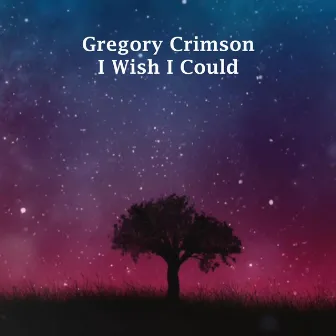 I Wish I Could by Unknown Artist