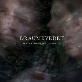 Draumkvedet by Ole Nilssen