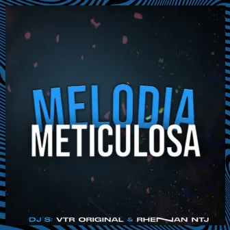 MELODIA METICULOSA by Dj Vtr Original