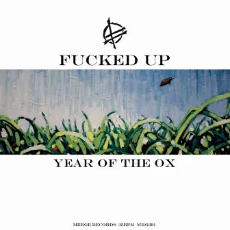 Year of the Ox by Fucked Up