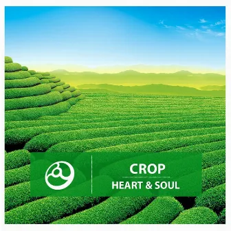 Heart & Soul by Crop