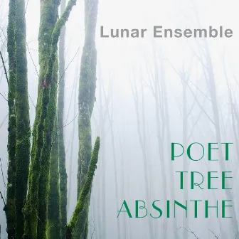 Poet Tree Absinthe by Lunar Ensemble