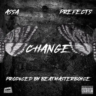 Change by Assa