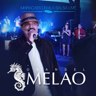 Maracaibo Baila Salsa (Live) by Orángel Melao