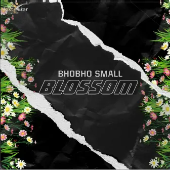 Blossom by Bhobho Small