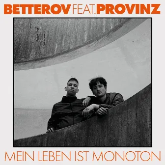 Mein Leben ist monoton by Provinz