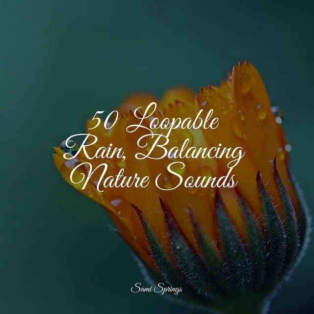 50 Loopable Rain, Balancing Nature Sounds