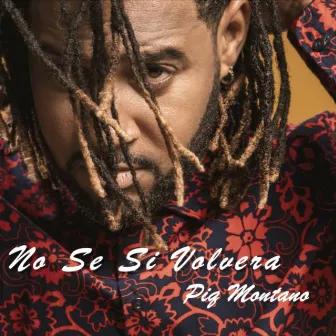 No Se Si Volvera by Piq Montano