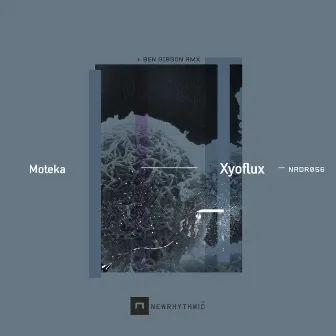 Xyoflux by Moteka