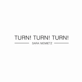 Turn! Turn! Turn! by Sara Niemietz