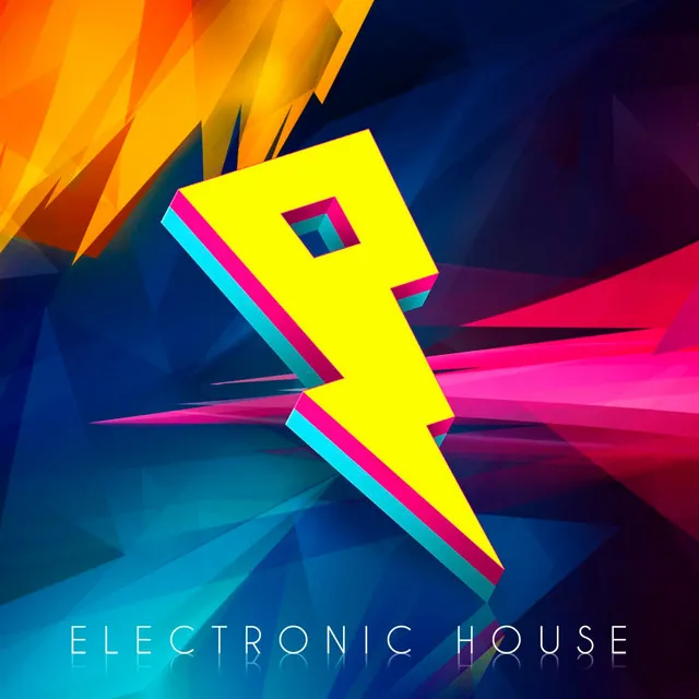 Electronic House