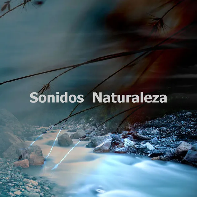 Sonidos Naturaleza