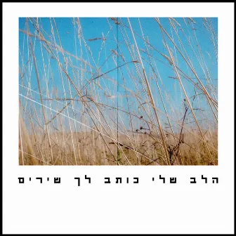 הלב שלי כותב לך שירים by יואש