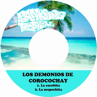 La Escobita by Los Demonios de Corocochay