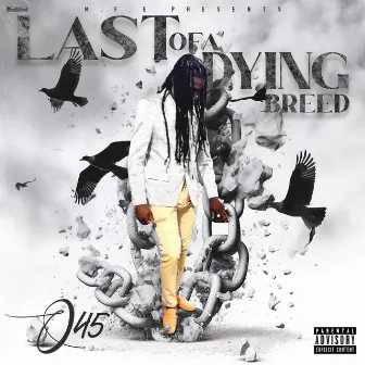 Last Of A Dying Breed by Q45