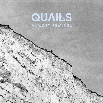 Almost (Remixes) by Quails