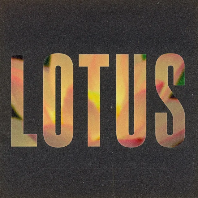 Lotus